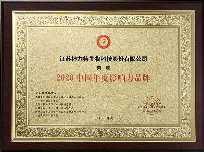6、2020中國年度影響力品牌.jpg